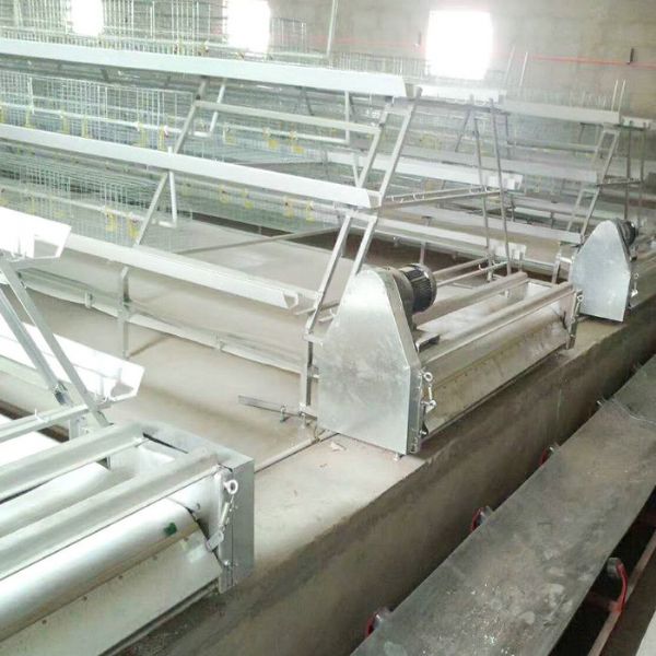 PP帶蛋雞清糞機(jī)